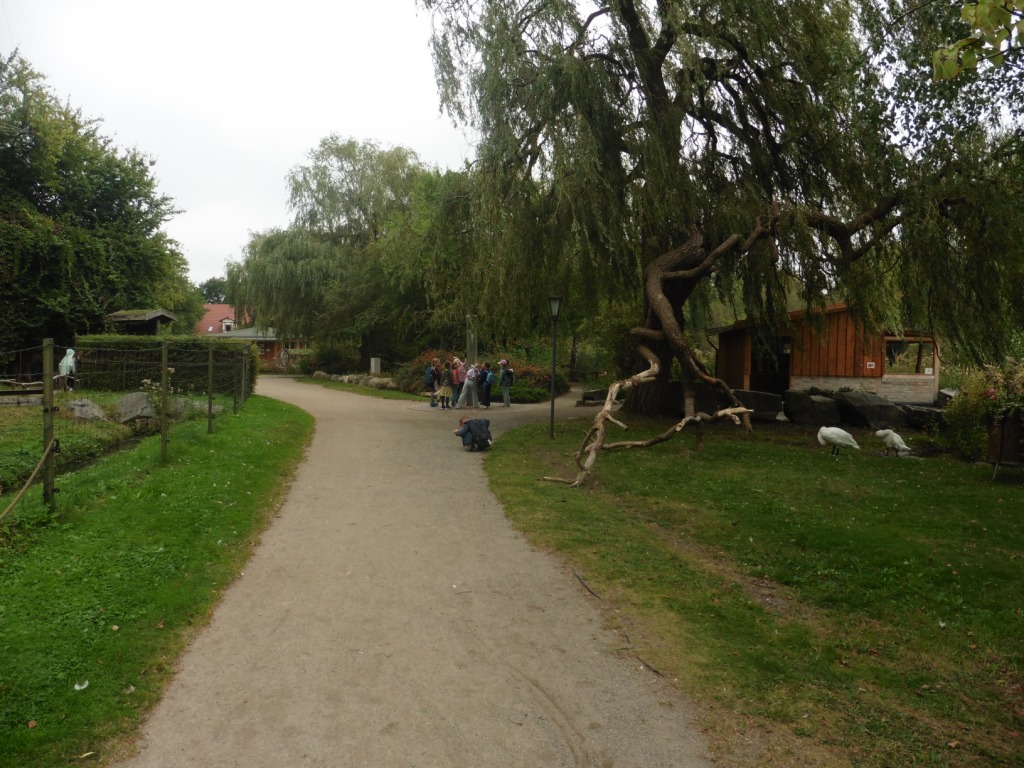 P1050458.JPG