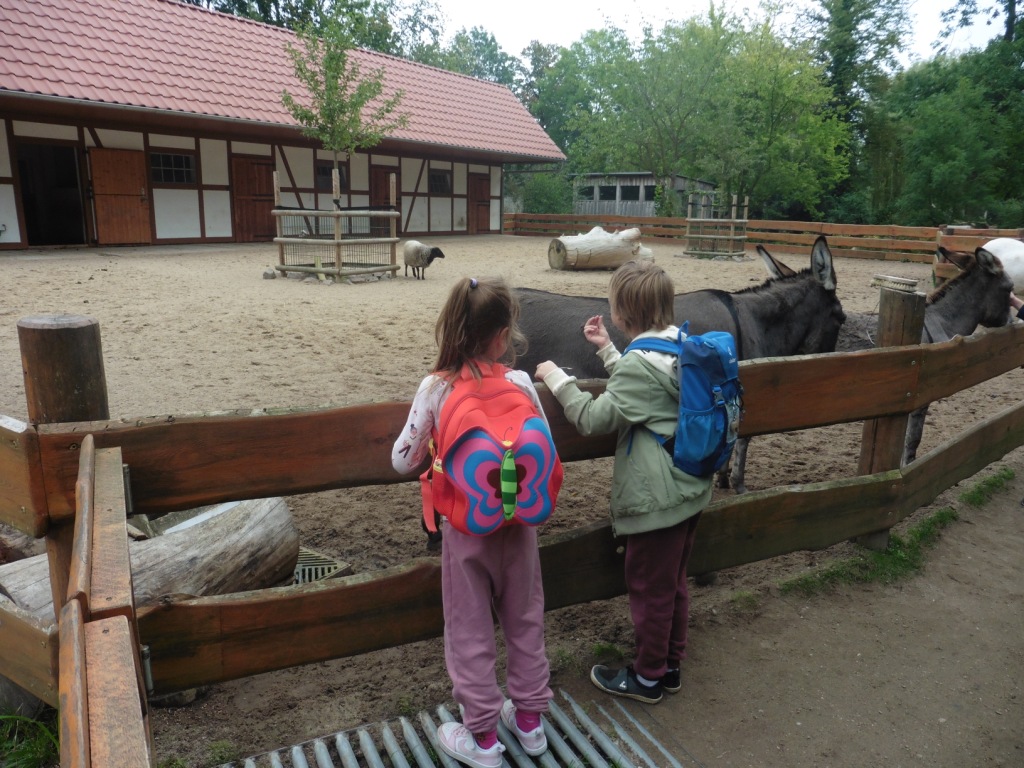 P1050473.JPG